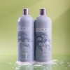 ABBA Moisture Shampoo