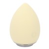 Facial Cleansing Beauty Machine Deep Cleaning High Frequency Vibration Facial