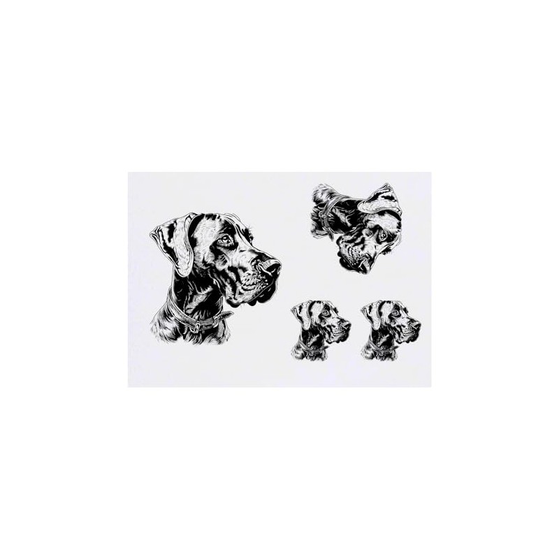 Azeeda 4 x 'Deutsche Dogge, Seitenprofil' Temporäre Tattoos - Wasserfest,