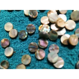 Unbranded Twenty(20) 6.25mm(1/4") Abalone Inlay Dots Guitar Fretboard NOS Gibson Kalamazoo