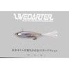 JACKALL Live Datter, Super Clear Wakasagi