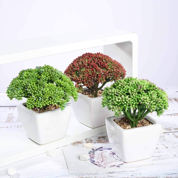 Pamela Leigh Fake Plants Artificial Succulent Plants Assorted Decorative Faux