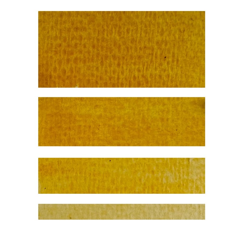 CSY art gallery Watercolor Paint (Essential)