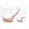 Pilates (Science of Pilates)