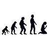 CafePress Human Evolution, Figures, Gifts Oval Car Bumper Sticker