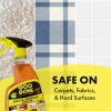 Goo Gone Original Spray Gel Adhesive Remover, Orange Citrus Scent-