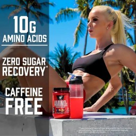 Suplemento en polvo BSN Endurance and Recovery Aminoácidos de AMINOx sabor frambuesa azul x 435g                                                      