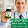 Apio En Polvo - Go3b - 60 Cápsulas - Suplemento