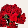 Realistic Artificial Flowers - UV Resisistant Red Geranium Bush -