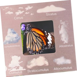 HOMSFOU Nature Guide Finder Cloud Viewer Pinewood Nature Identification Guide Frame for Thick Outdoor Exploration and Learning