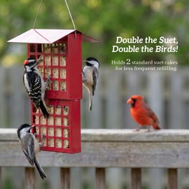 Solution4Patio Suet Bird Feeder for Outdoors, All Metal Bird Feeder for Wild Birds, Heavy Duty Galvanized Steel Hanging Feeder with Slide-Top Roof, Weather Resistant, Holds 2 Suet Cakes (Red)
