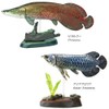 Carolata 3D Picture Book, Realistic Figure Box (Ancient Fish, 7