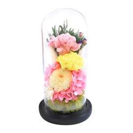 Offering Glass Dome Glass Dome Sachi