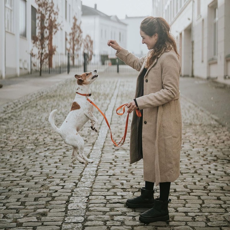 Tripoli Adjustable Lead Orange Size 10/200