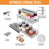 BBV Spice Rack Organizer, Double layer Seasoning Organizer for Cabinet