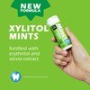 DC24 DAILY CARE Xylitol Erythritol Mints, No Aspartame Sugar Free