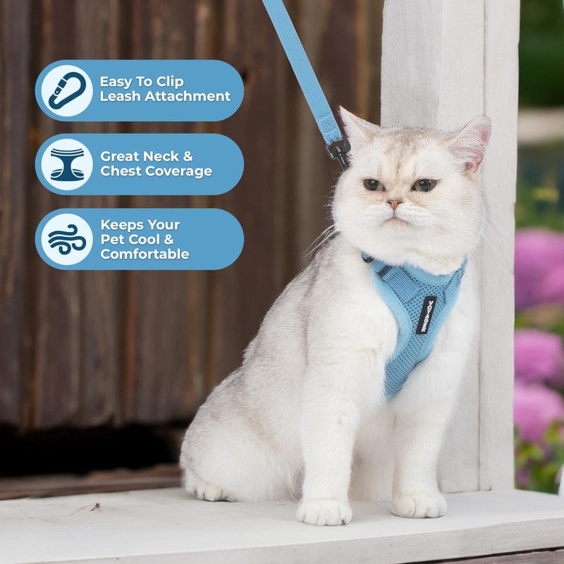 Voyager Step-in Lock Cat Harness and Reflective Cat Lead with