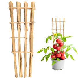 Taoskai 10 Pack 16" Bamboo Trellis for Climbing Plants, Fan-Shaped Natural Garden Ladder Trellis for Climbing Plants Potted Plants House Plants