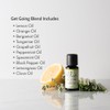 Ellia Diffuser Essential Oil | Get Going Blend| 15ml, 100%