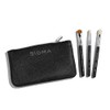 Glam and Go Mini Eye Brush Set by SIGMA for