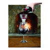 Waring Pro Professional Wine Aerator, Brushed Stainless Accents