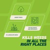 Ortho GroundClear Weed and Grass Killer with Comfort Wand, Kills
