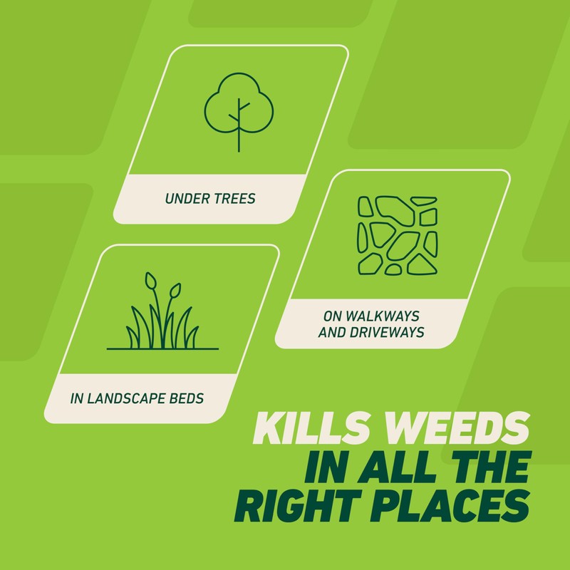 Ortho GroundClear Weed and Grass Killer with Comfort Wand, Kills