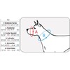 Adjustable Dog Muzzle 6 Sizes Gray (XS: 5.5"-7.5" Snout Circumf.)