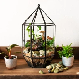 SuperMoss (90405) Glass Terrarium – Elegant Indoor Gardening Décor, Ideal Gifts for Plant Lovers, Modern Home & Office Decoration, 7.5” x 7.5” x 14”, Greenhouse