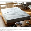 Fab the Home FH131811-140 Fitted Sheet, Sand, Single, 39.4 x