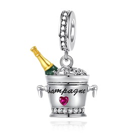 YUMINN Life Series Charms for 925 Sterling Silver for Women Bracelets & Necklaces Dangle Pendant for Christmas Valentine's Day Mother's Day Jewellery Gifts for Women, Sterling Silver, Cubic Zirconia