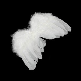 Pack of 5 White Small Angel Wings Angel Feathers Wings Feather Wings for Crafts Christmas Tree Decor Wedding Prop