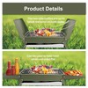 Charmline 14x9inch Desktop Charcoal Grill, Liftable Grilling Net, Saving Space