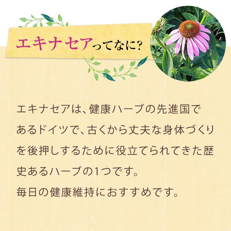 山田養蜂場 エキナセア粒＜90粒袋入＞