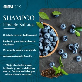 Shampoo Libre De Sulfatos Sal Y Parabenos Ninu 500 Ml Aromas                                                                                          