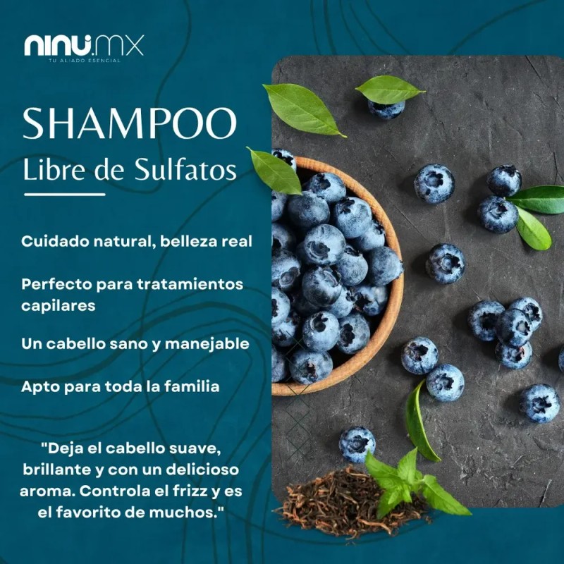 Shampoo Libre De Sulfatos Sal Y Parabenos Ninu 500 Ml
