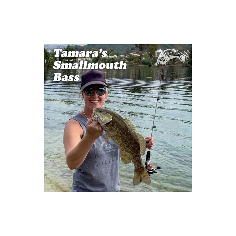 Panther Martin PMWSSP_2_FLT WillowStrike Spotted Spinners Fishing Lure - Fluorescent