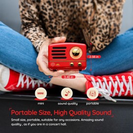 Muzen Portable Bluetooth Speaker, OTR Metal Retro Small Wireless Speaker, FM Radio with Antenna AUX, 10h+ Long Playtime, High Fidelity Stereo Audio with Suitcase, Room Office Decor, Festival Gift