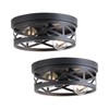 Litaddscen 2 Pack Black Farmhouse Flush Mount Ceiling Light,2-Light Rustic