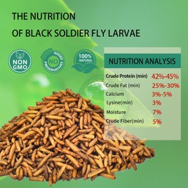 Hatortpet Hatortpet Dried Black Soldier Fly Larvae 5LB-Pure Natural Non-GMO BSF Larvae for Chickens-More Calcium Than Mealworms High-Protein Chickens Treats for Layer Hens Wild Birds Ducks