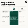 Vital Vitamins Chlorophyll Pills - Body Deodorizing Supplement - Made
