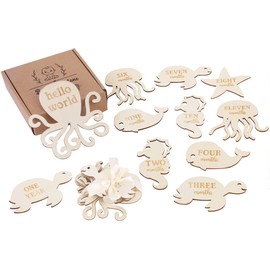 Sursurprise Under The Sea Milestone Cards, Baby Monthly Milestone Markers Wooden, 13PCS Ocaen Animals Double Sided Hello World Newborn 1-12 Months Circles Discs Signs Props