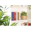 Xcase Book Safe: Steel Book Safe Disguised as Travel Guide,