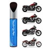 HAR095/DZT Velocity Red Sunglo Touch Up Paint Compatible with Harley-Davidson