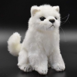 Koshiro Fox 17 BH6830