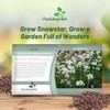 Outsidepride Snowstar Lychnis Seeds - 50000 Pcs Perennial Flower Seeds