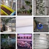 White Plastic Chicken Wire Mesh Fence Hexagonal Poultry Netting Plastic