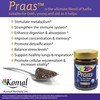 AyurBest Organic Praas / Chyawanprash - 100% USDA Certified Organic,