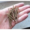 M4 Wood Screws Zinc Plated Yellow Long 2 inch (0.16"