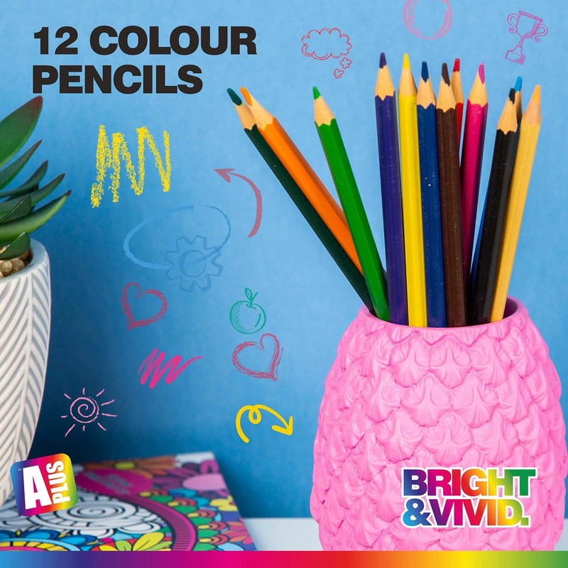 VFM - Assorted Coloured Pencil Set - A Plus Bright